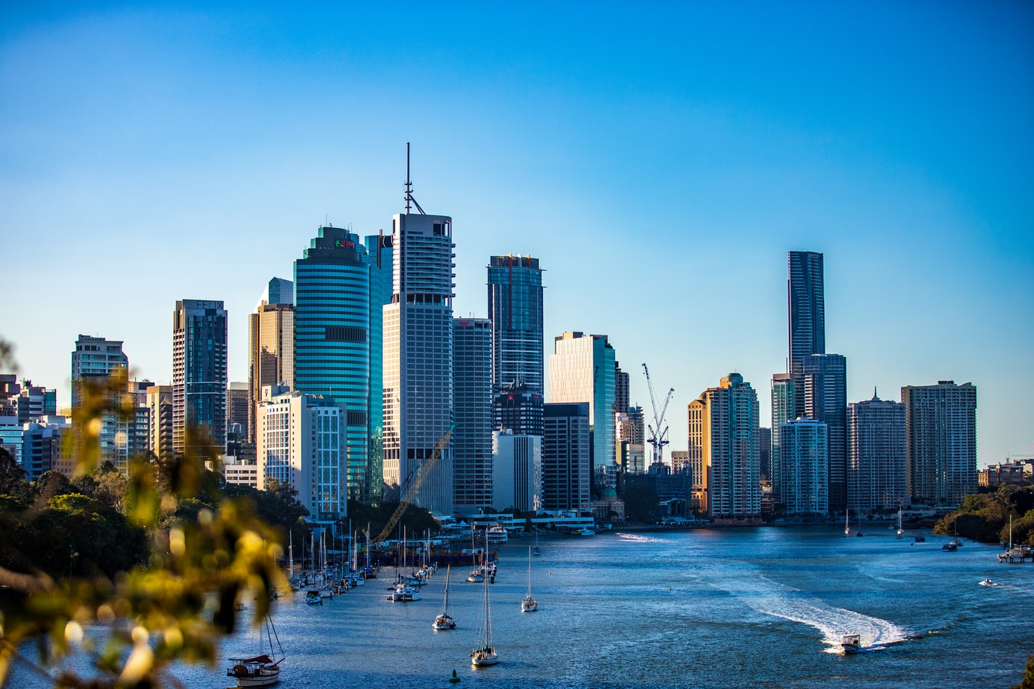 View of Brisbane CBD from the river